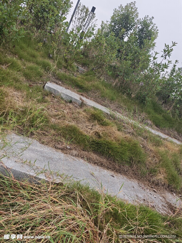 野外荒废石板