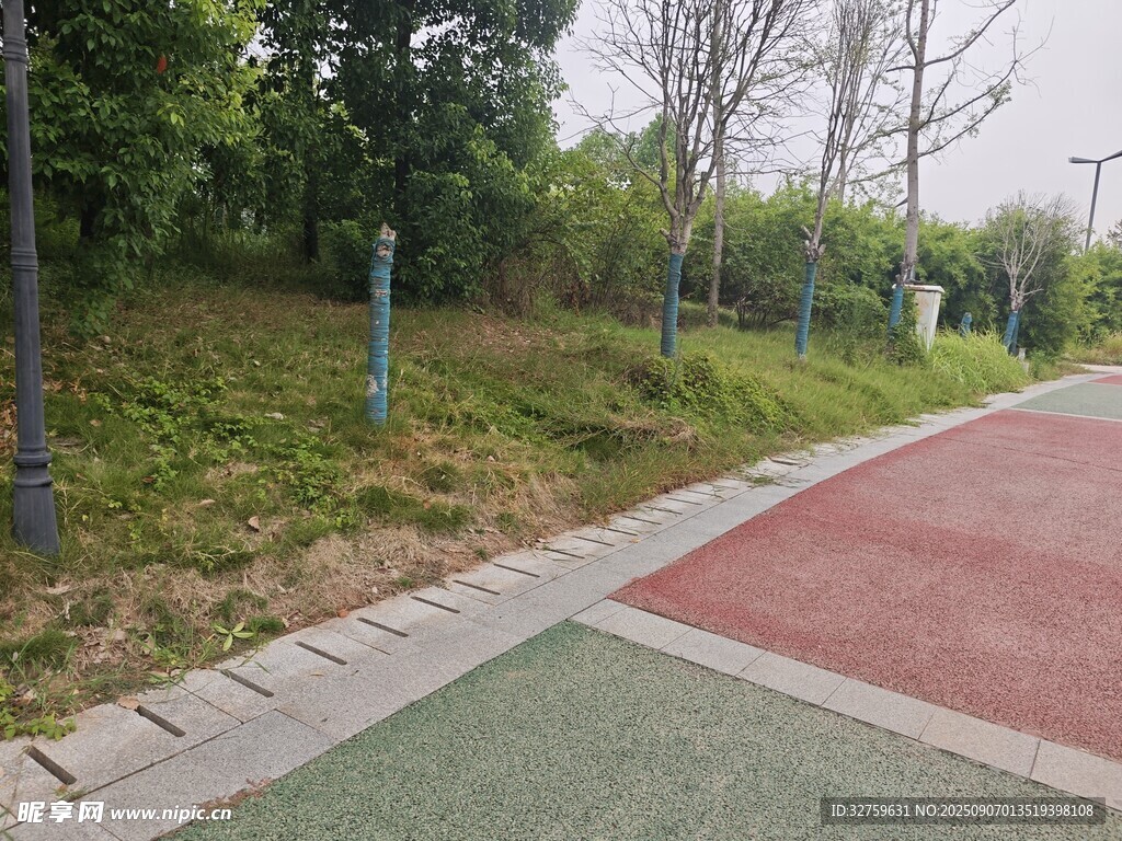 城市彩色步道与绿植景观