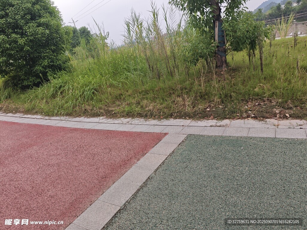 彩色步道旁的绿植景观