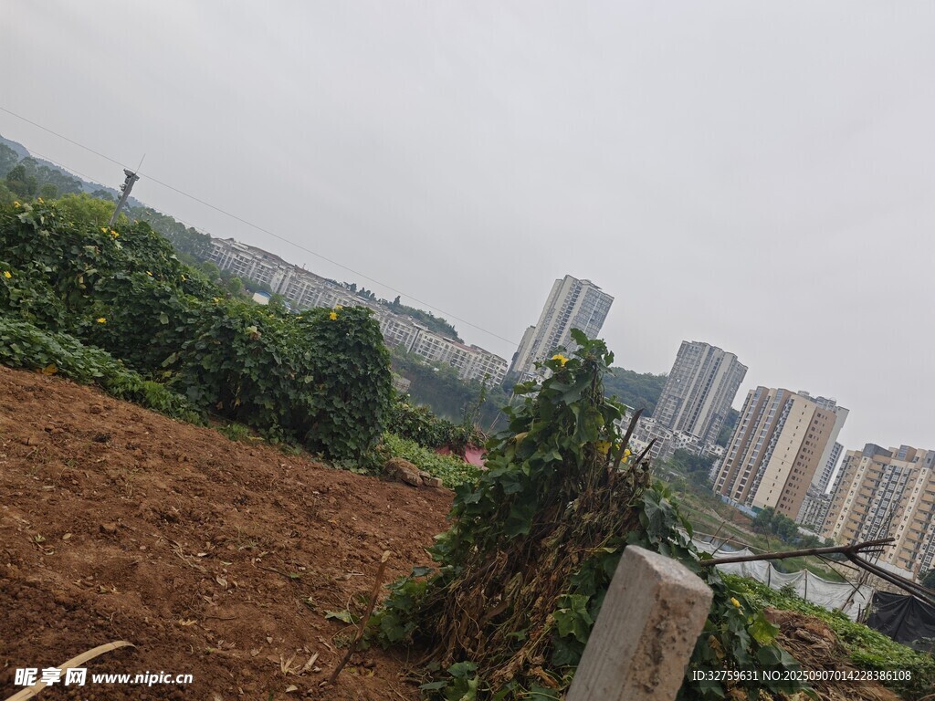 城郊荒地与远处高楼景观