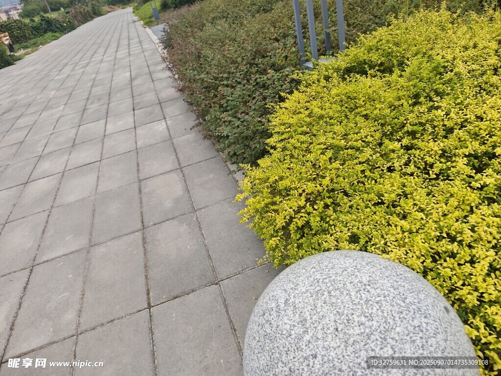 城市步道旁的绿植与石球