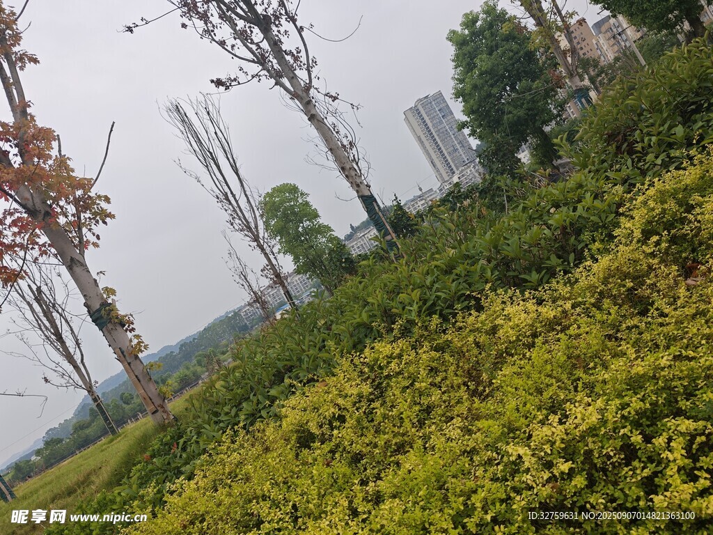 郊外绿植景观