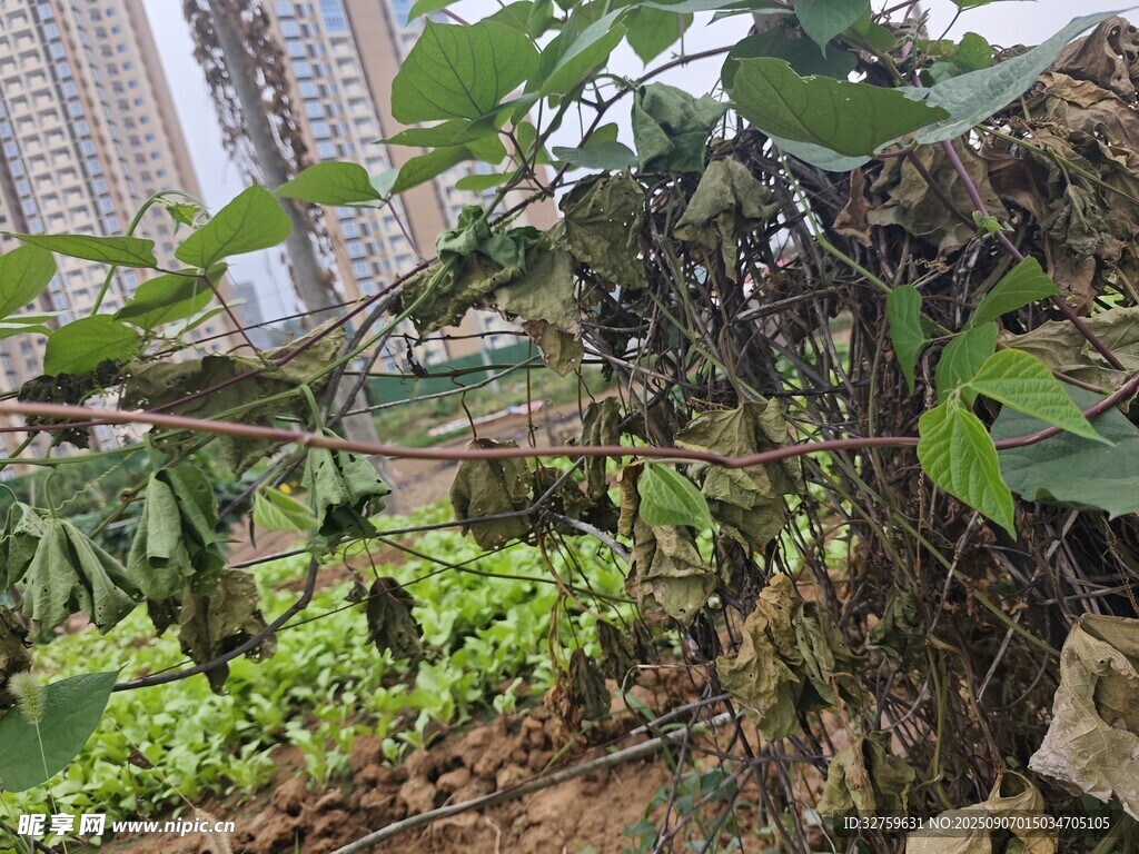 城市中的绿植角落
