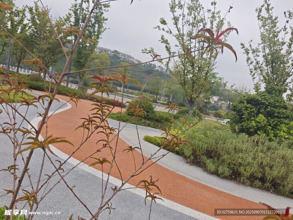 公园彩色步道与绿植景观