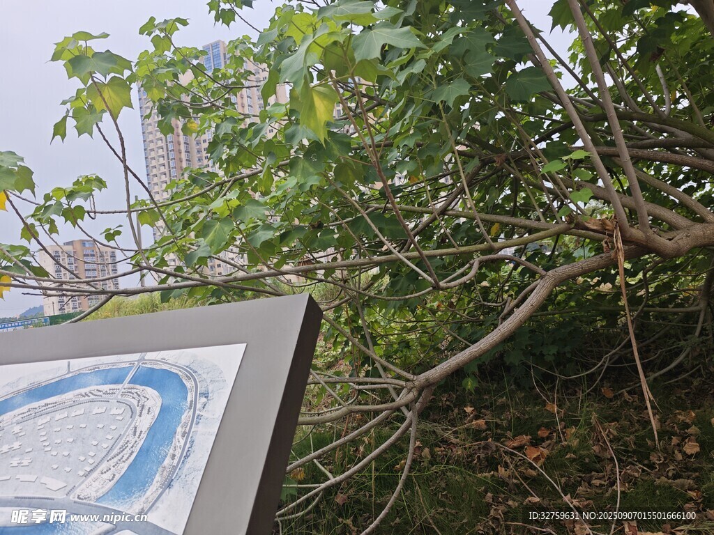 绿植旁的指示牌