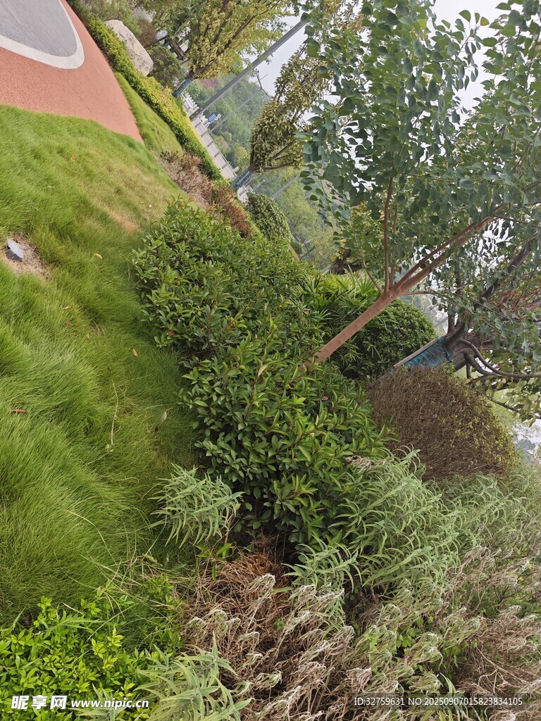 户外绿植景观一角