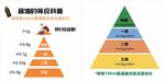酱油的等级科普