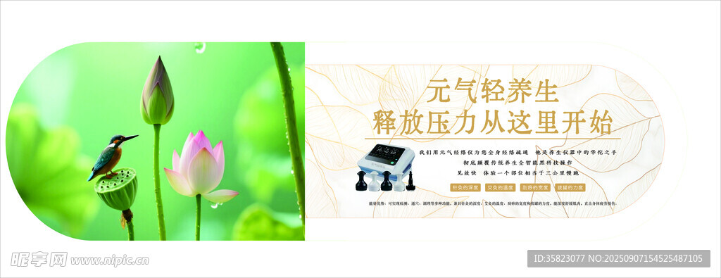 清新自然风养生灯箱