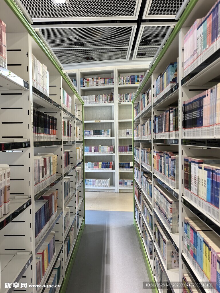 图书馆内整齐的书架陈列