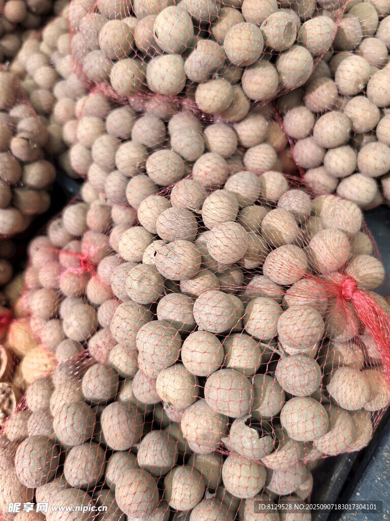 一堆新鲜的芡实颗粒饱满