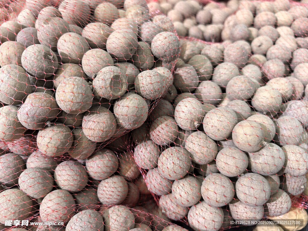 一堆饱满的桂圆果实
