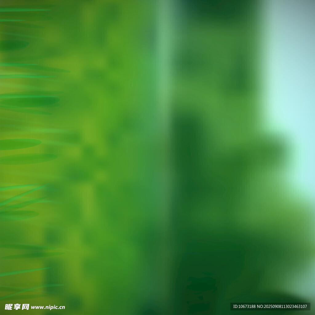翠绿竹林景致