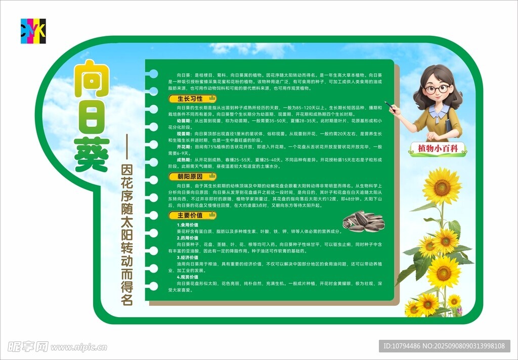向日葵植物介绍