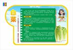 白菜植物介绍