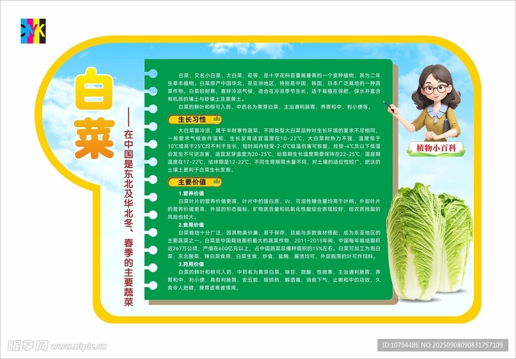 白菜植物介绍