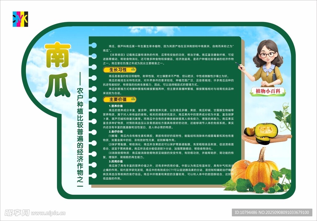 南瓜植物介绍