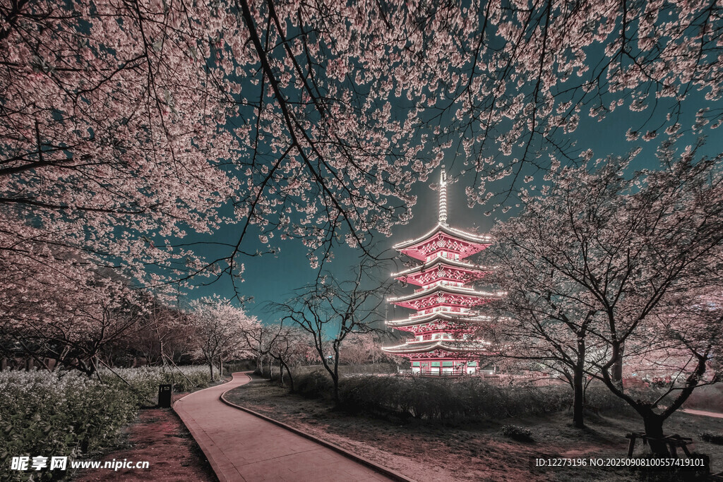 夜樱下的日式塔楼美景