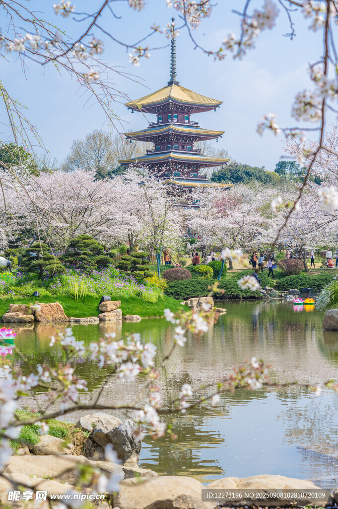 樱花环绕的日式古塔美景