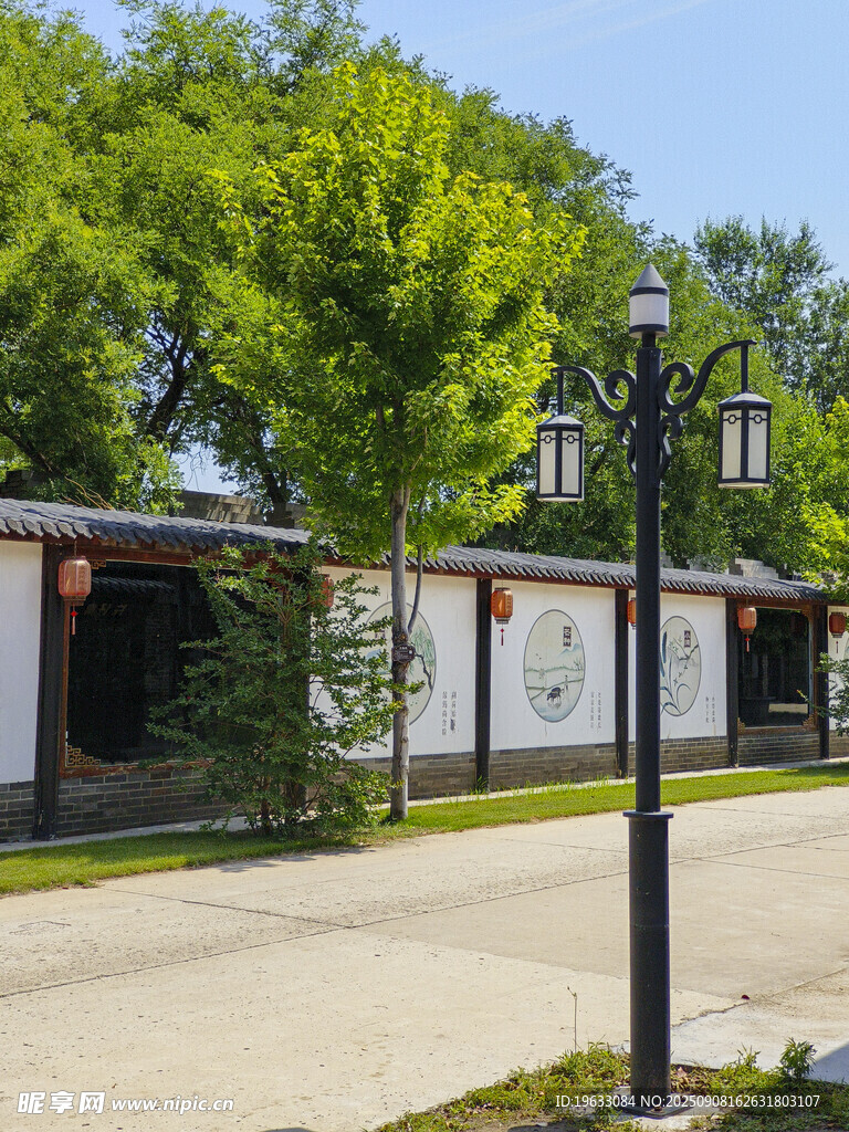 街道路灯与绿植景观
