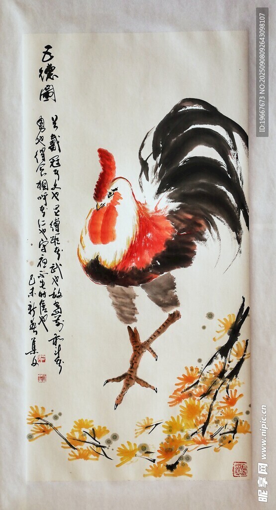 公鸡