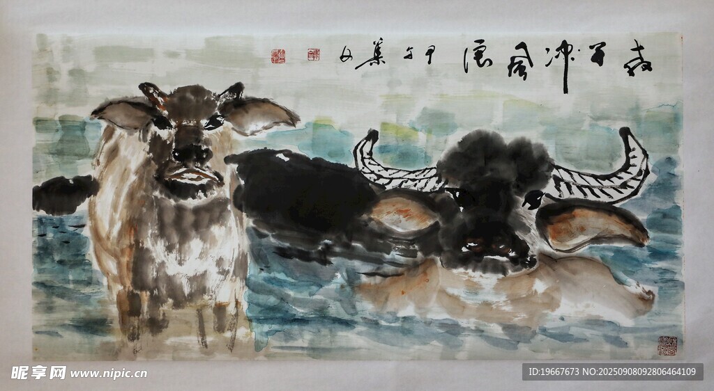 牛
