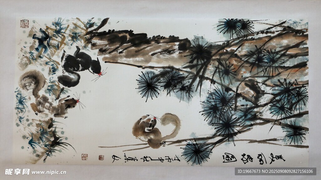 松鼠 