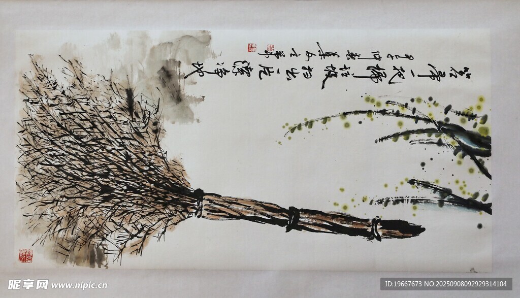 扫把