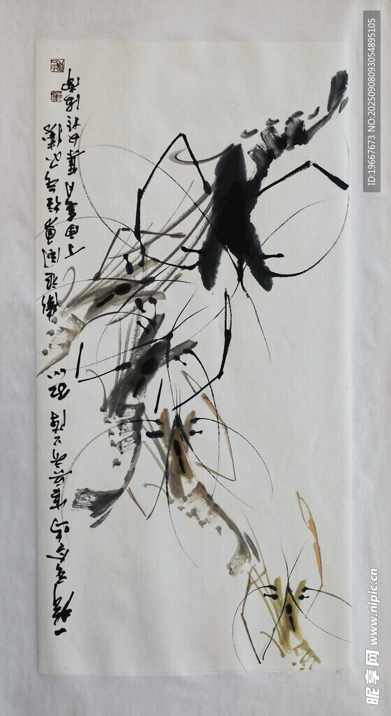 虾