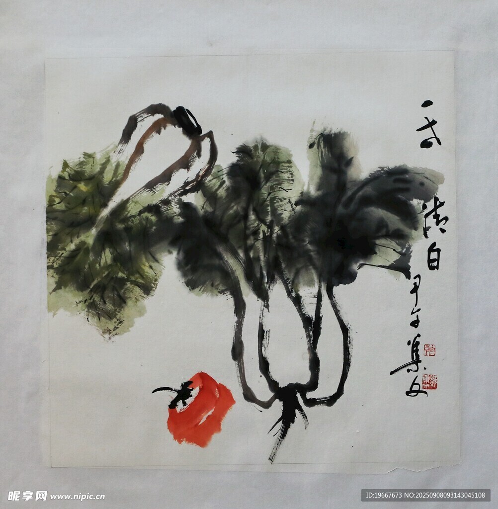 白菜