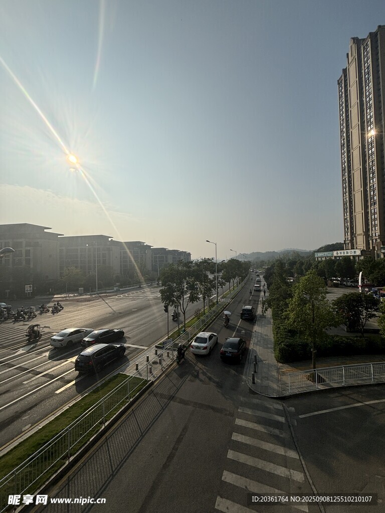 城市道路车辆行驶景象
