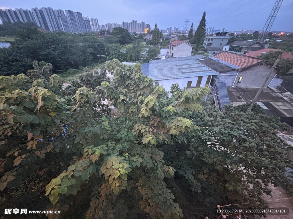 俯瞰城郊绿植与建筑景观