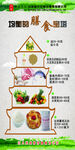 营养膳食金字塔示意图