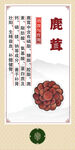 中药  鹿茸宣传图