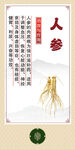 中药  人参