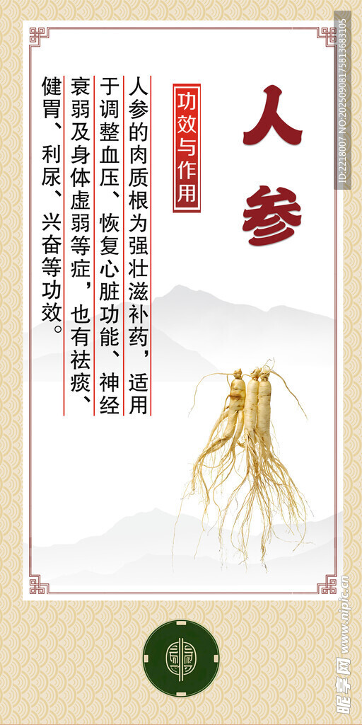 中药  人参