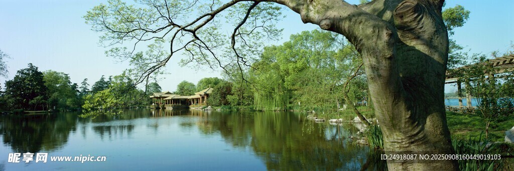 自然风景 宽幅风景