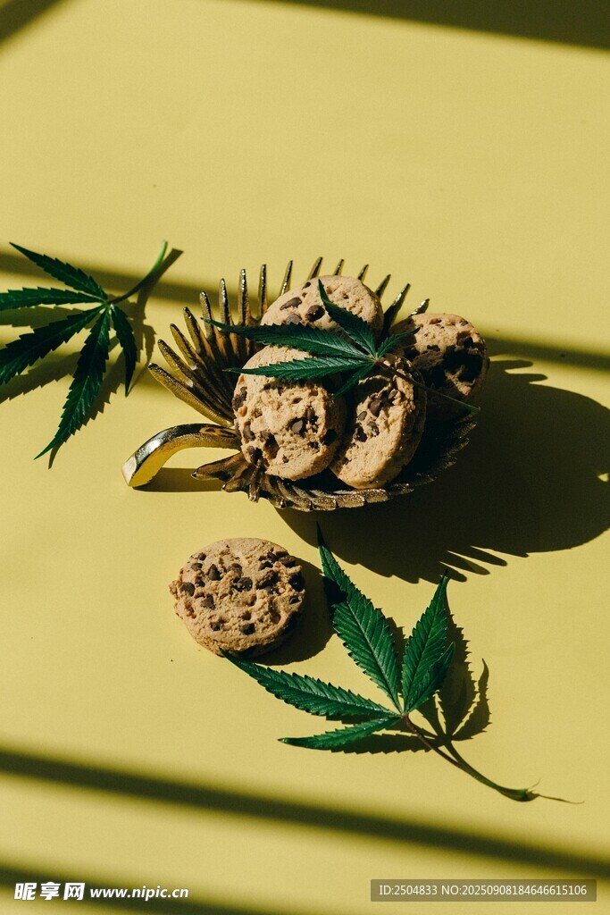 松果与绿叶的自然组合