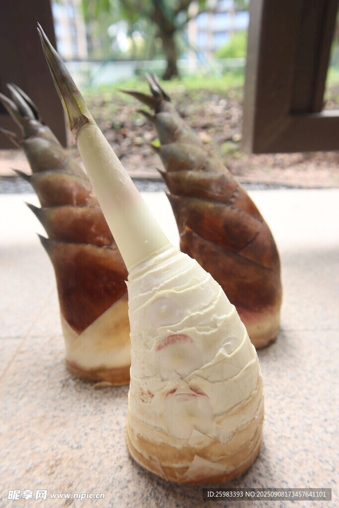竹笋
