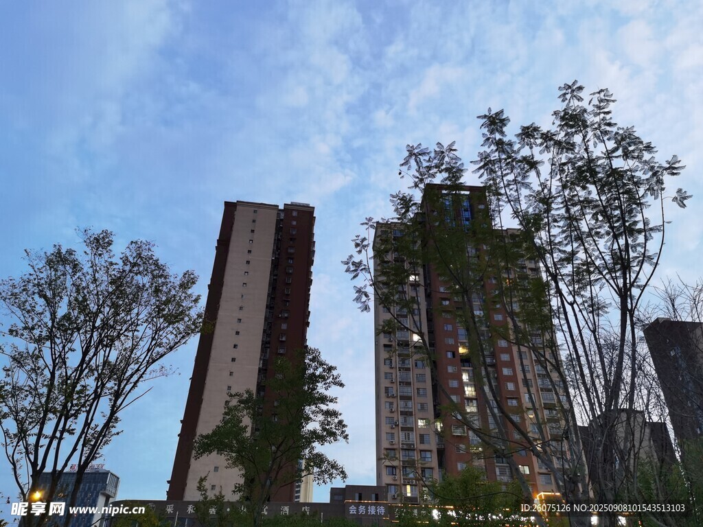 夜幕中的城市高楼与树木景观