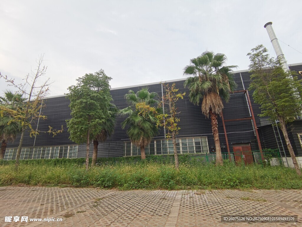 户外绿植环绕的建筑景观