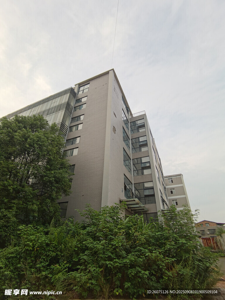 多层住宅楼旁绿植环绕