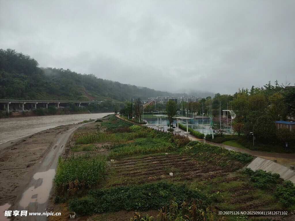 雨中城郊道路与绿植景观