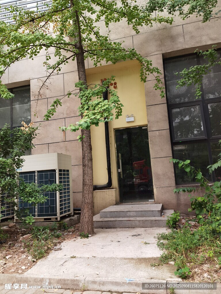 独栋住宅外景绿植环绕