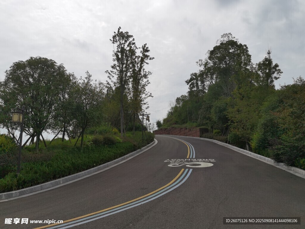 蜿蜒公路旁绿树成荫
