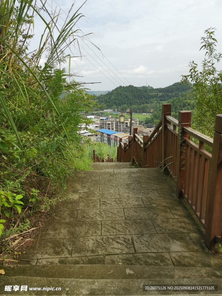 乡间木质步道绿意环绕