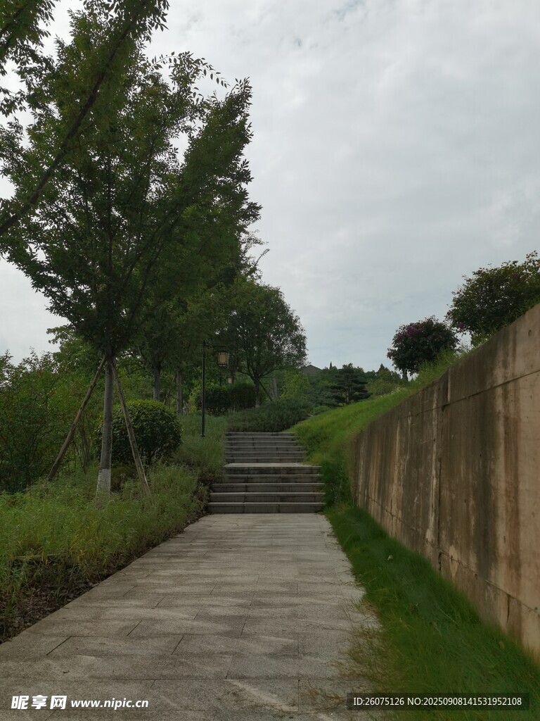 户外幽静的步道景观