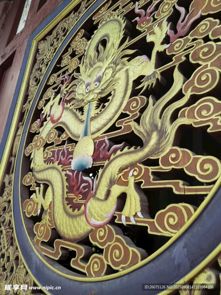精美龙纹装饰图案细节