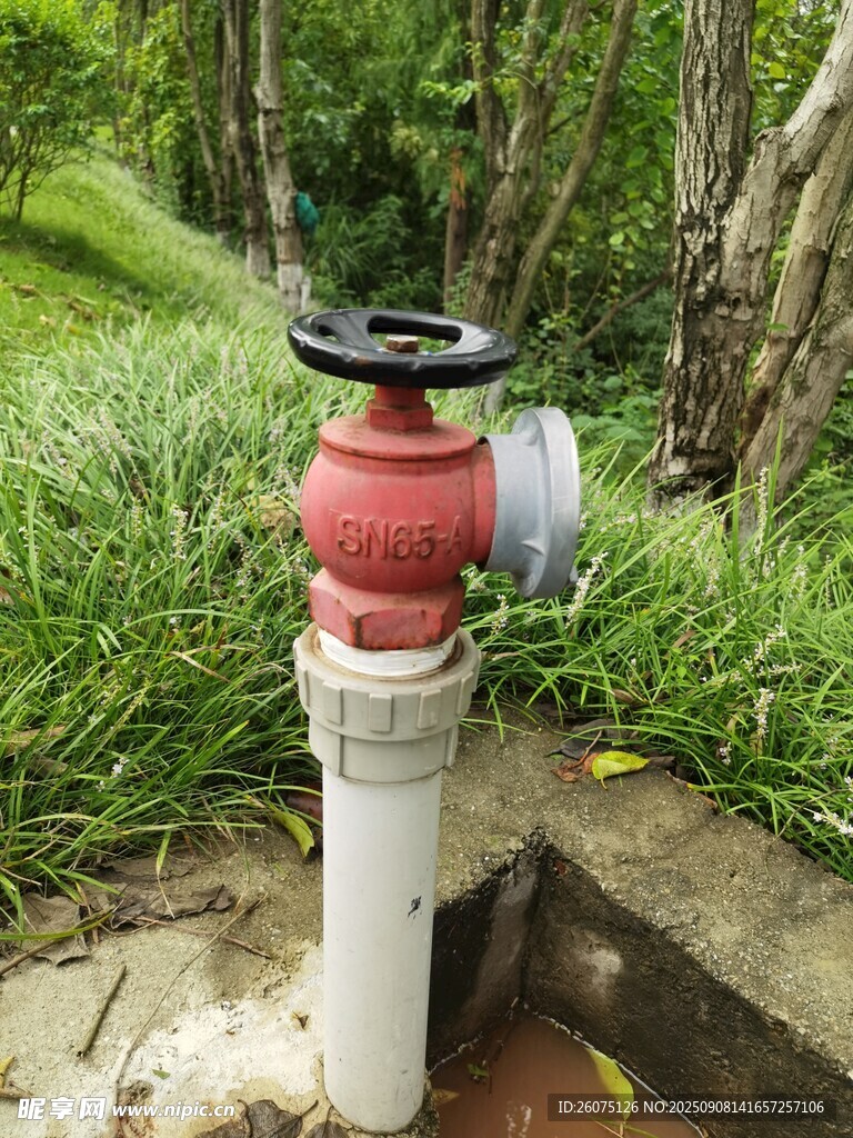 户外草地中的消防栓