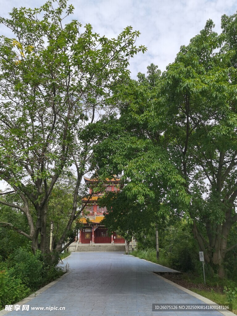 林间小道通往古朴建筑