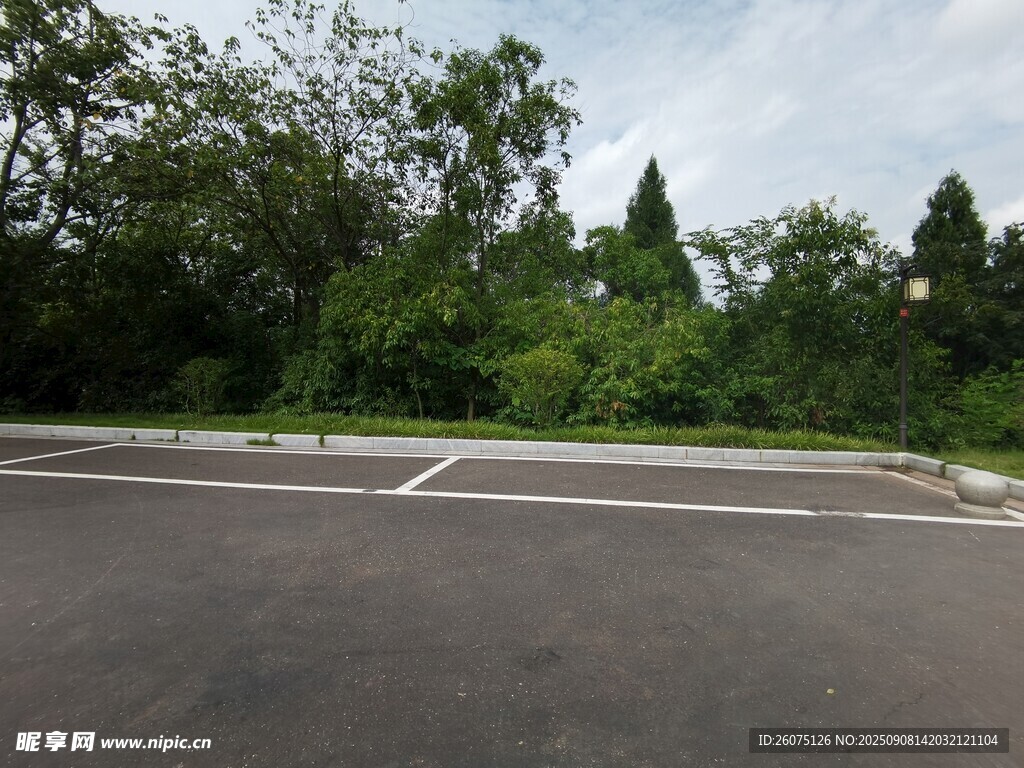 道路旁停车位与绿意盎然的树林